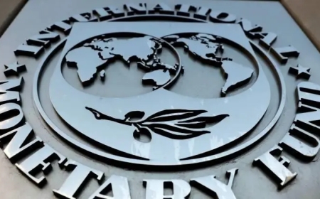 MMF: Globalni javni dug bi za tri godine mogao doseći 115% svetskog BDP-a