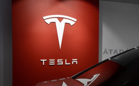 Izazovi za Muska: Tesla bilježi drastičan pad prodaje i tržišne vrijednosti